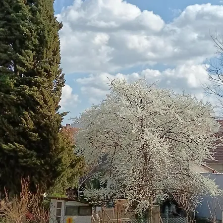 Garden View In The Downtown Daire Novi Sad