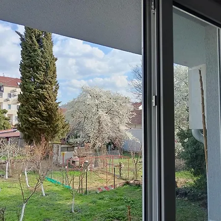 Garden View In The Downtown Novi Sad
