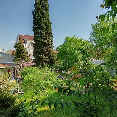 Garden View In The Downtown Apartment *